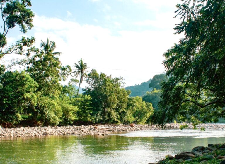 CoBT key products to Sabah tourism