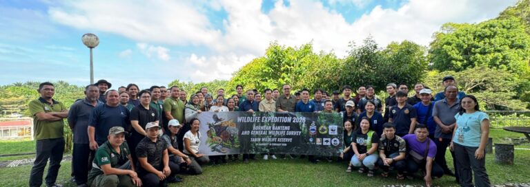 Tabin survey underway to update Bornean banteng data
