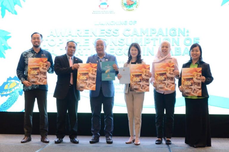 Sabah launches initiatives to strengthen sea turtle conservation