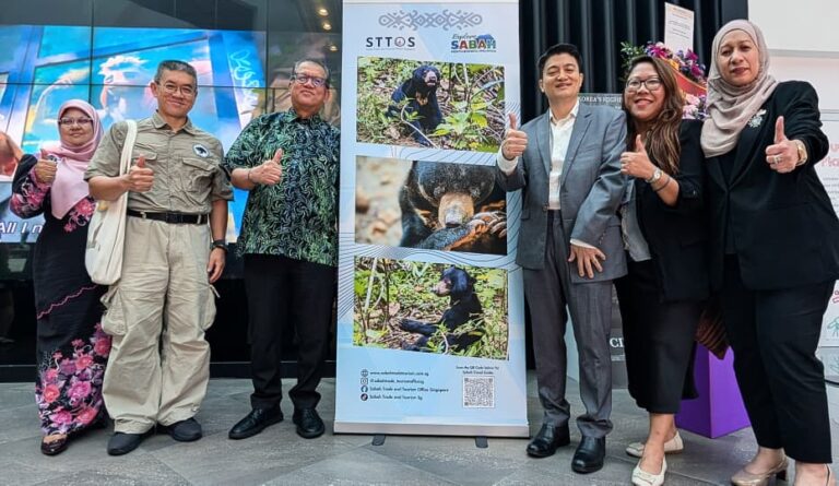 Sun bear documentary a hit in Singapore