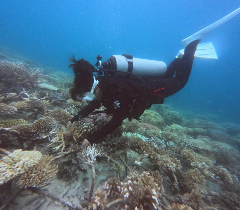 Sabah vows firm action over fish bombing